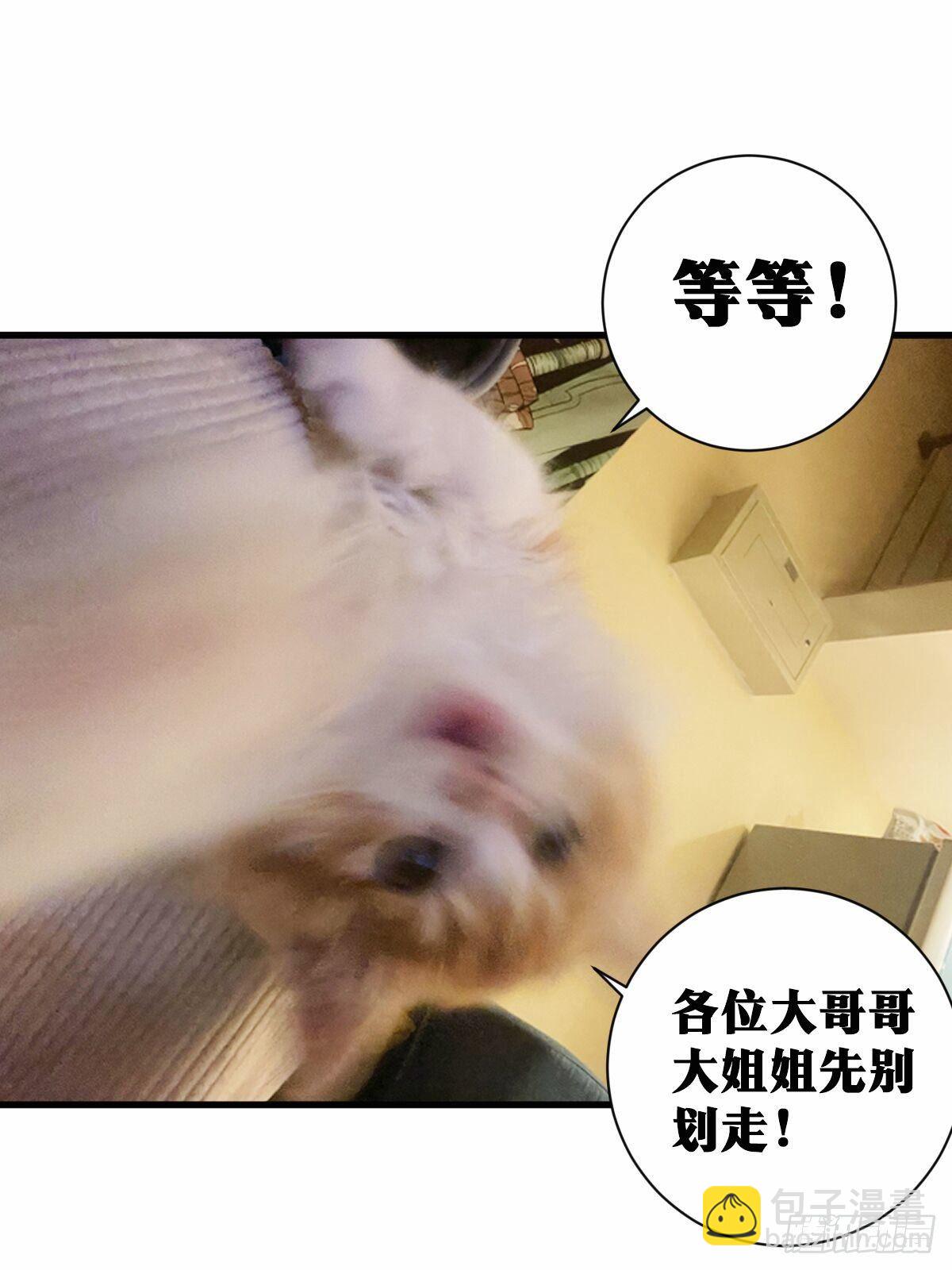 🍘我在异界当教父 44-论道开始！ 第17页