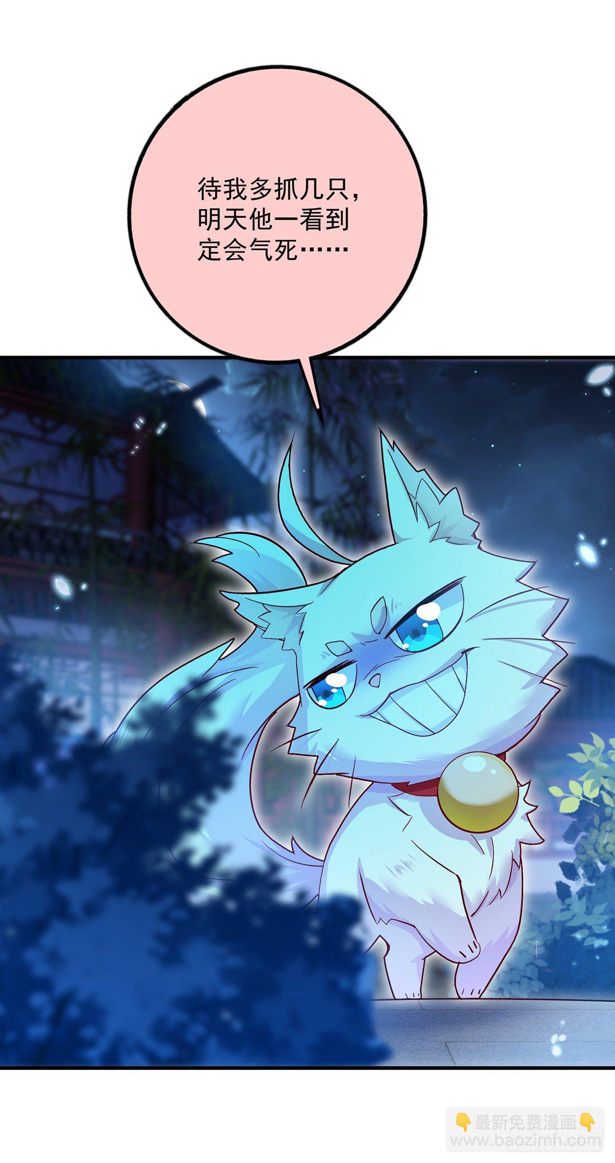 第50话 小猫化虎-第51话