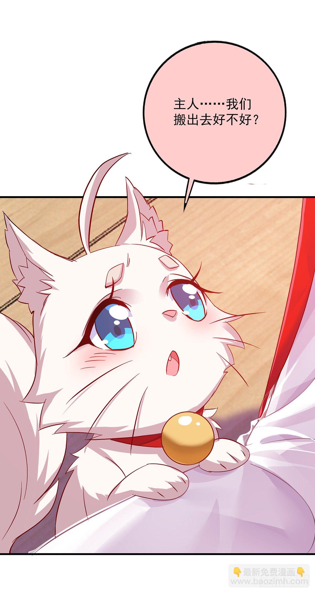 第50话 小猫化虎-第51话