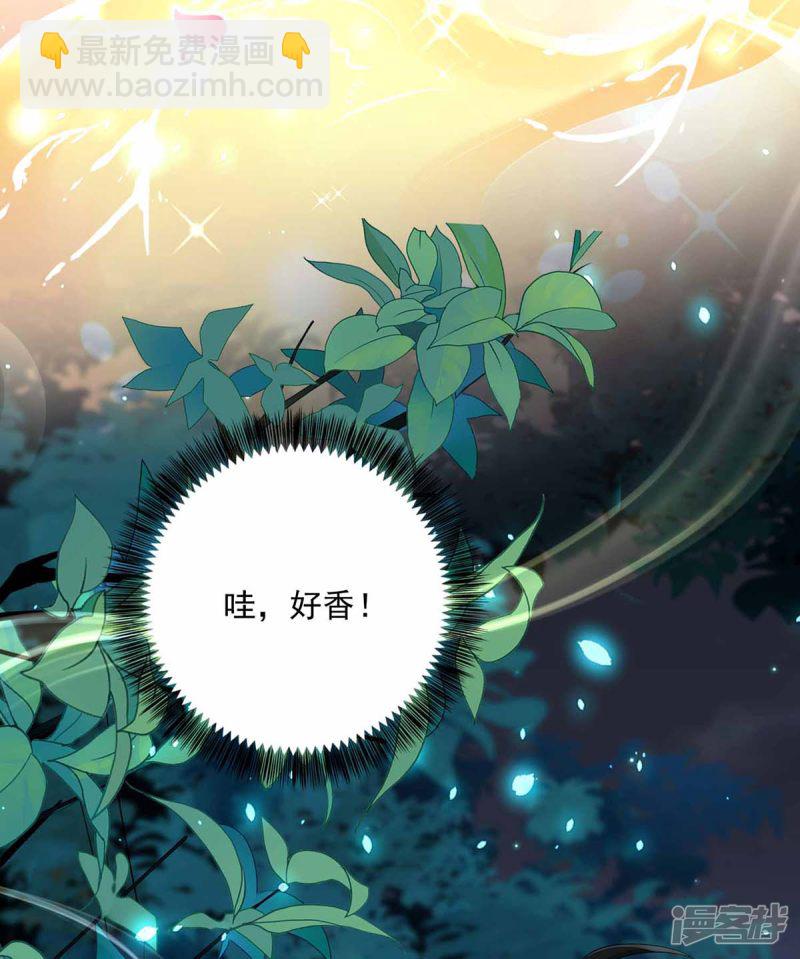 第78话 选夫标准-第79话