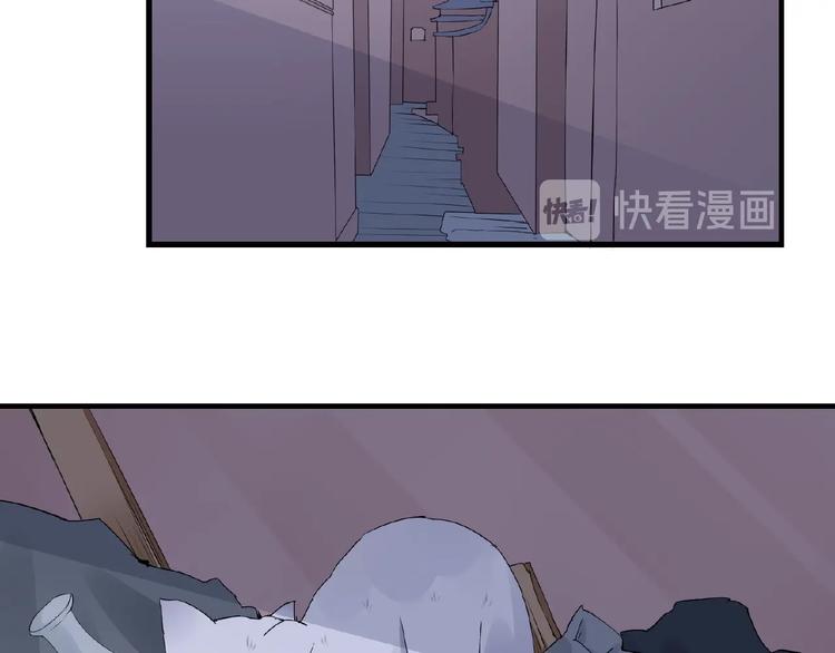 第43话 猫妖的执念(1/2)-第43话