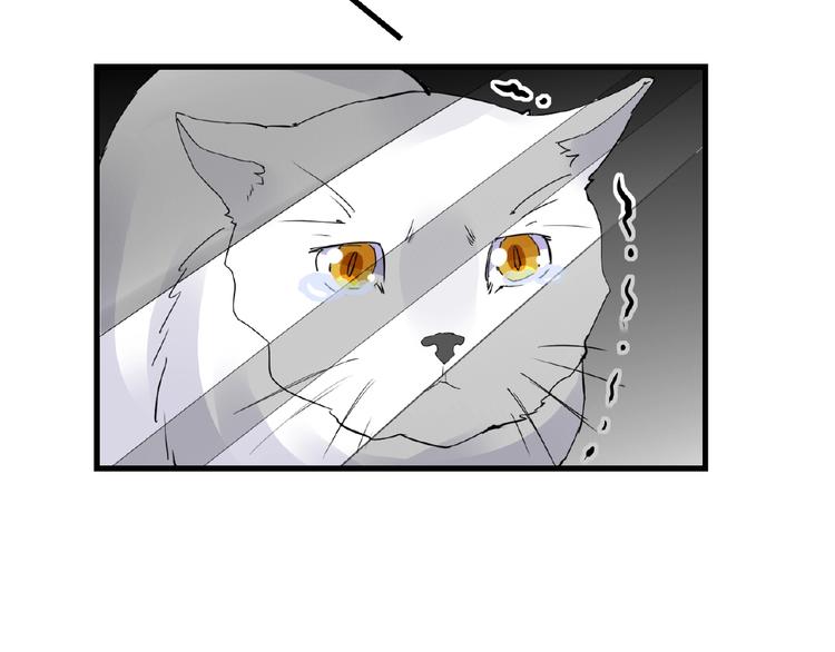 第43话 猫妖的执念(1/2)-第43话
