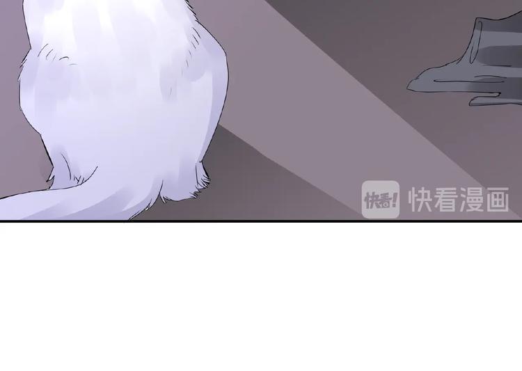 第43话 猫妖的执念(1/2)-第43话