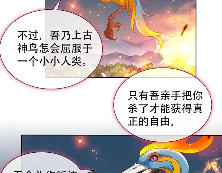 第9话 神鸟现世！(1/3)-第9话