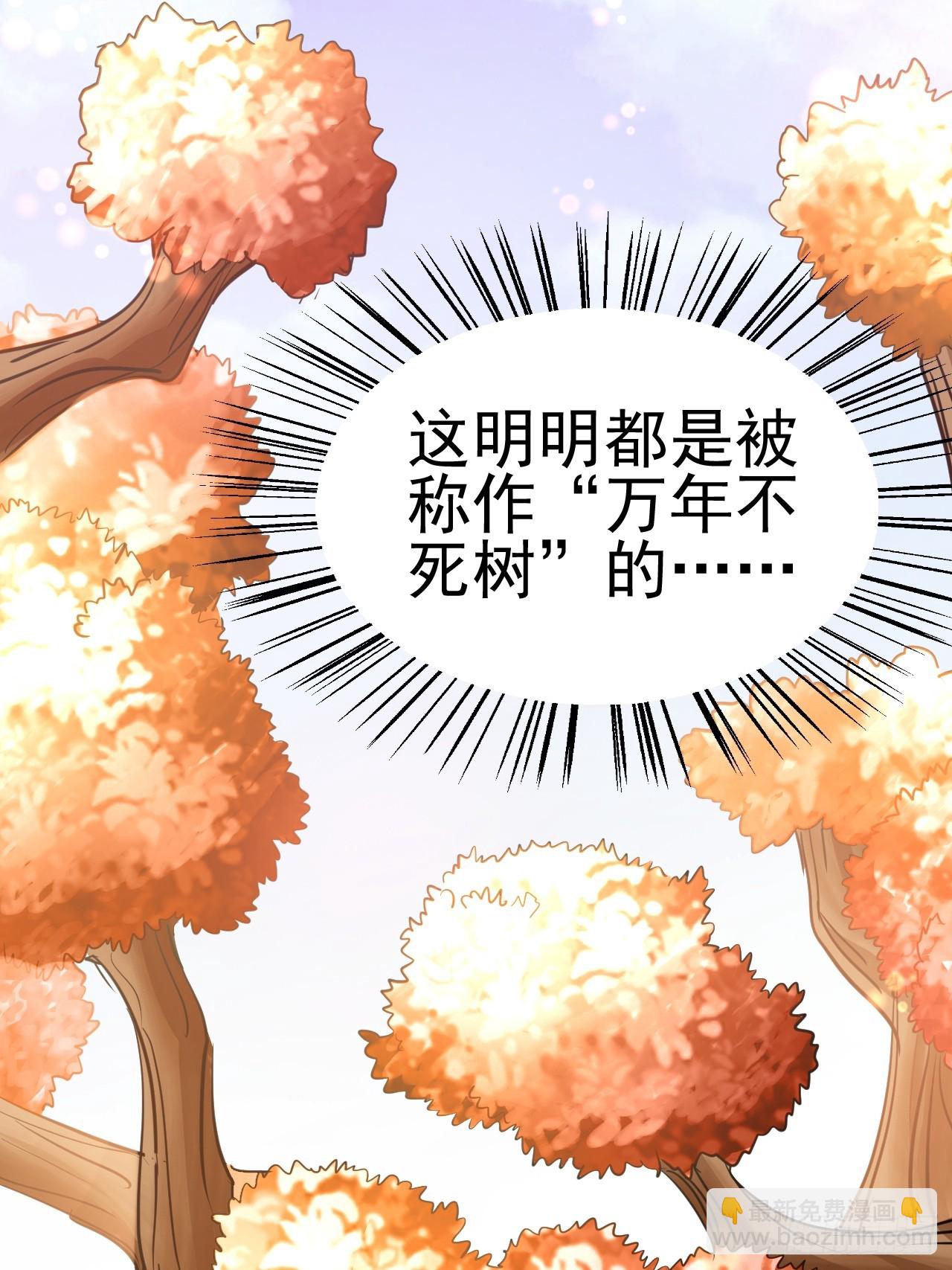 第2话 &rdquo;身娇体弱&ldquo;的大小姐(1/3)-第3话