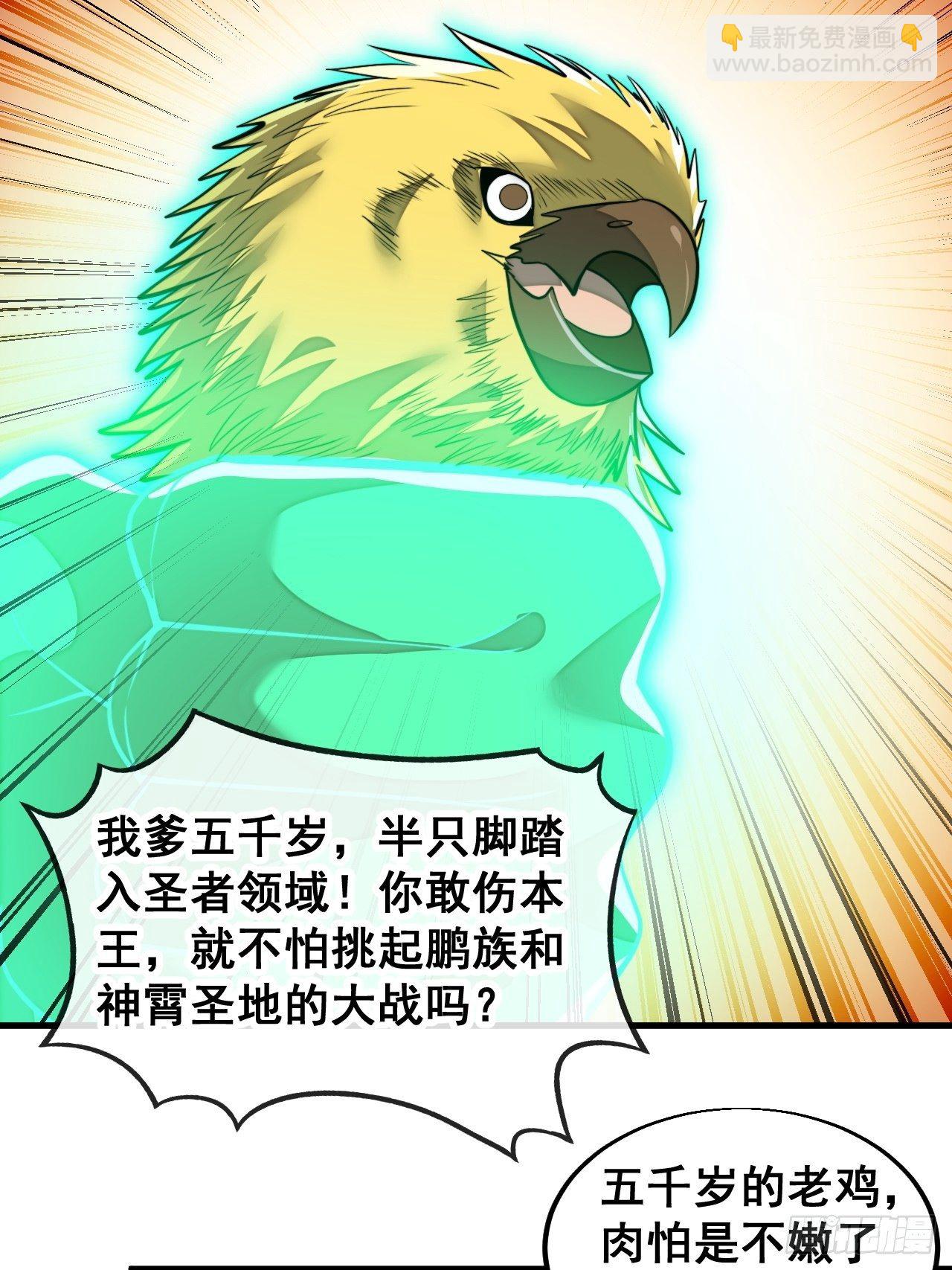 第四十四话：抓鸡大手印(1/2)-第45话
