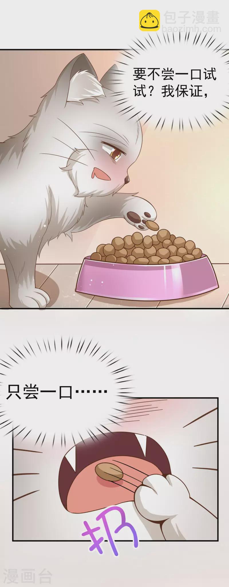 第11话 猫的福利你想象不到-第13话