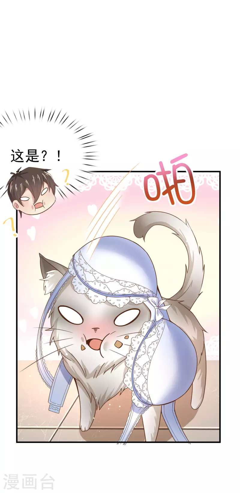 第11话 猫的福利你想象不到-第13话