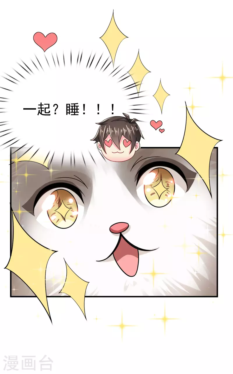 第11话 猫的福利你想象不到-第13话