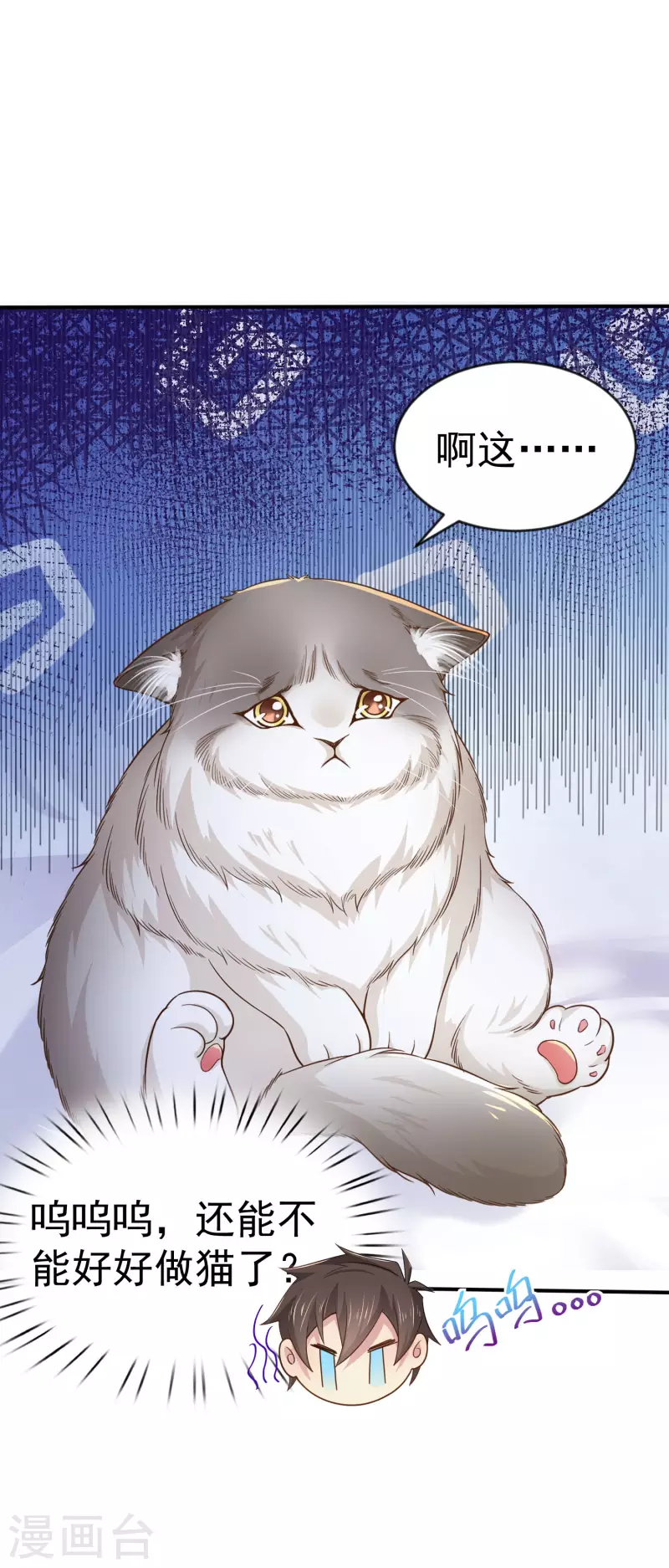 第11话 猫的福利你想象不到-第13话