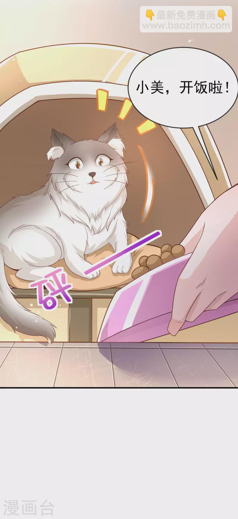 第11话 猫的福利你想象不到-第13话