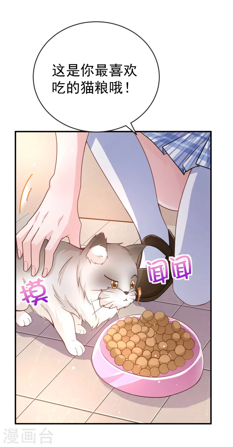 第11话 猫的福利你想象不到-第13话