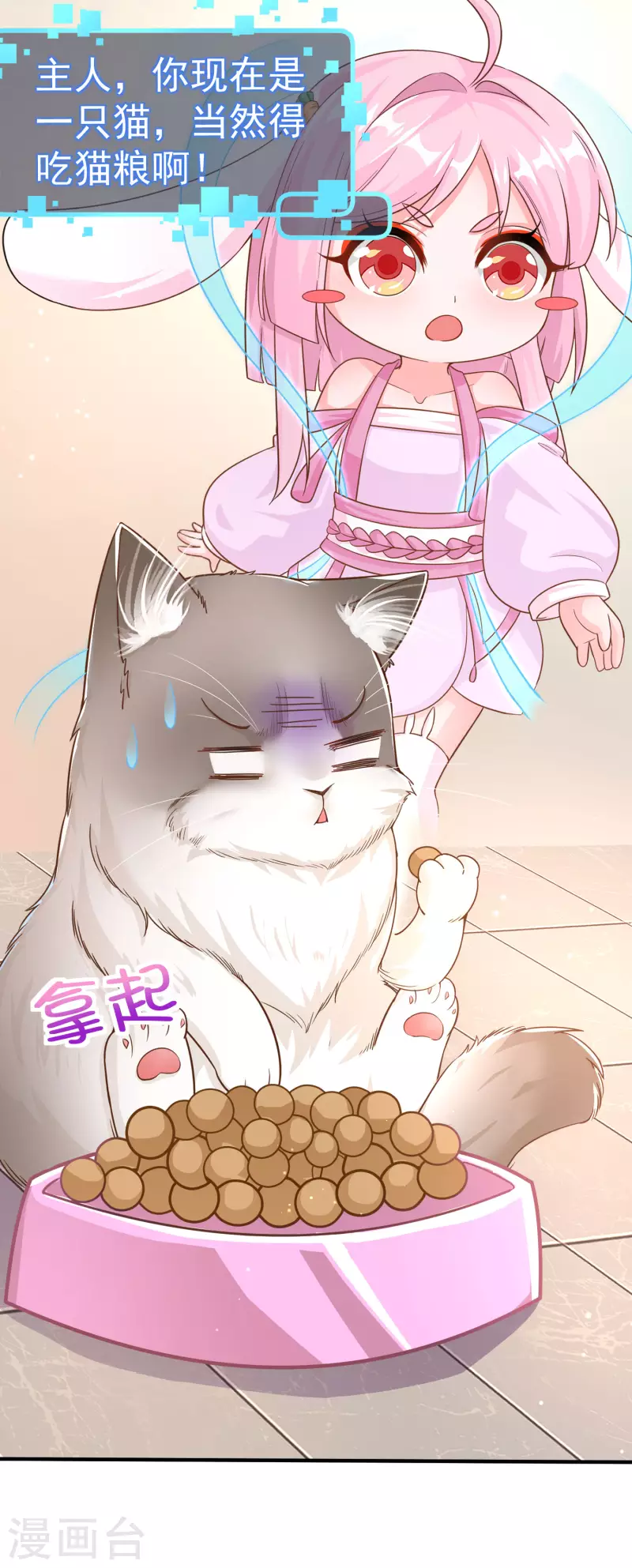 第11话 猫的福利你想象不到-第13话