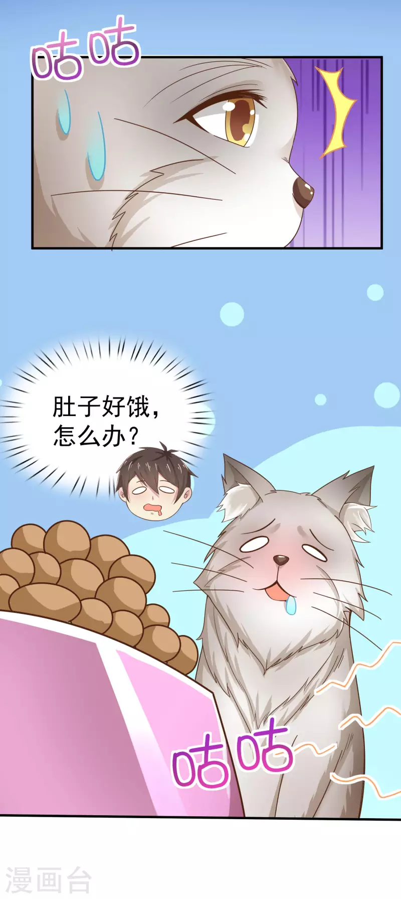 第11话 猫的福利你想象不到-第13话