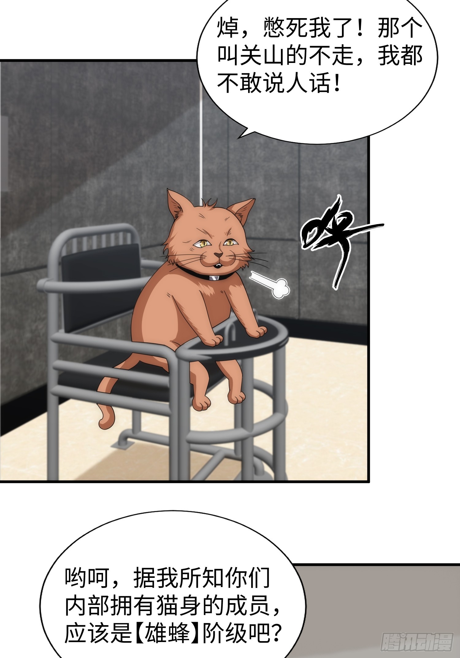 042 审判猫咪-第43话