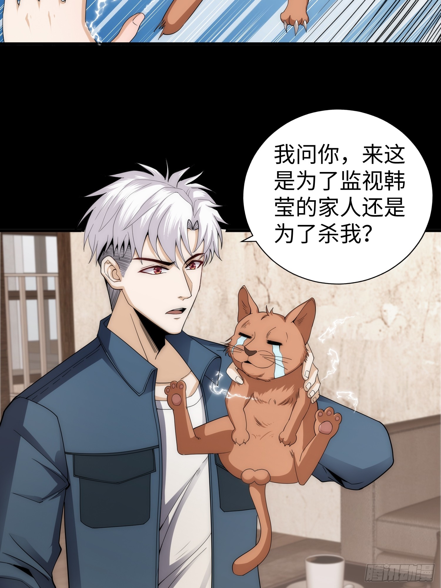 042 审判猫咪-第43话