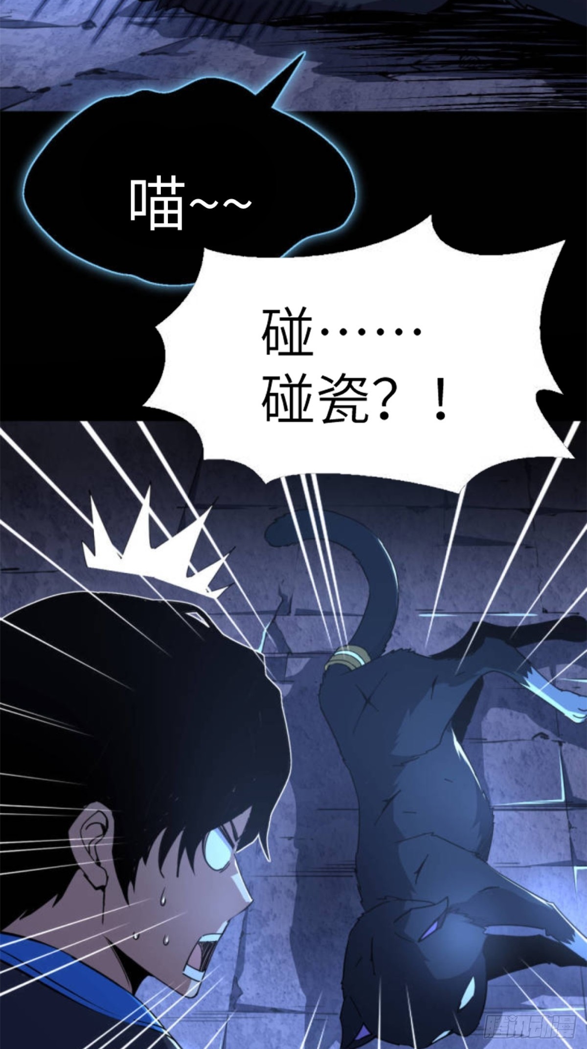 预告：这世界就是个巨大的猫奴~-第1话