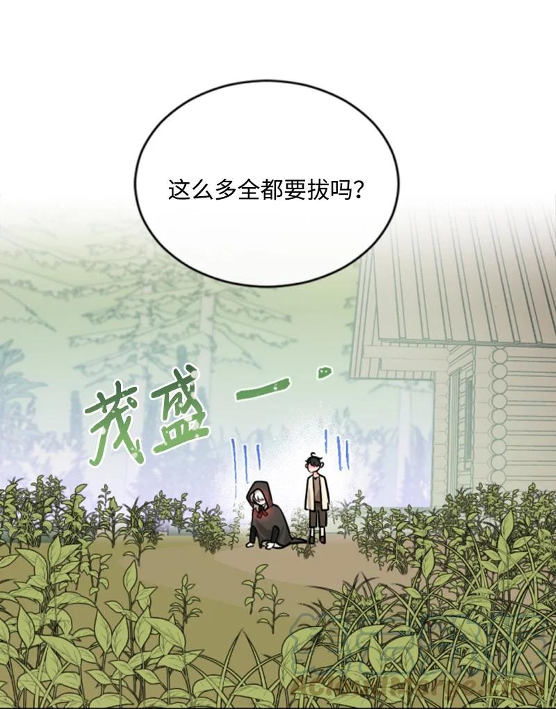 48 现实残酷(1/2)-第49话