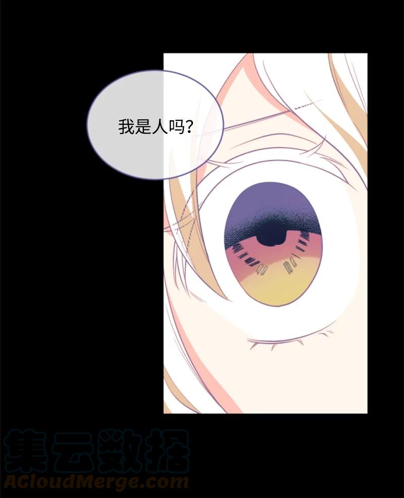 50 愿望成真(1/2)-第51话