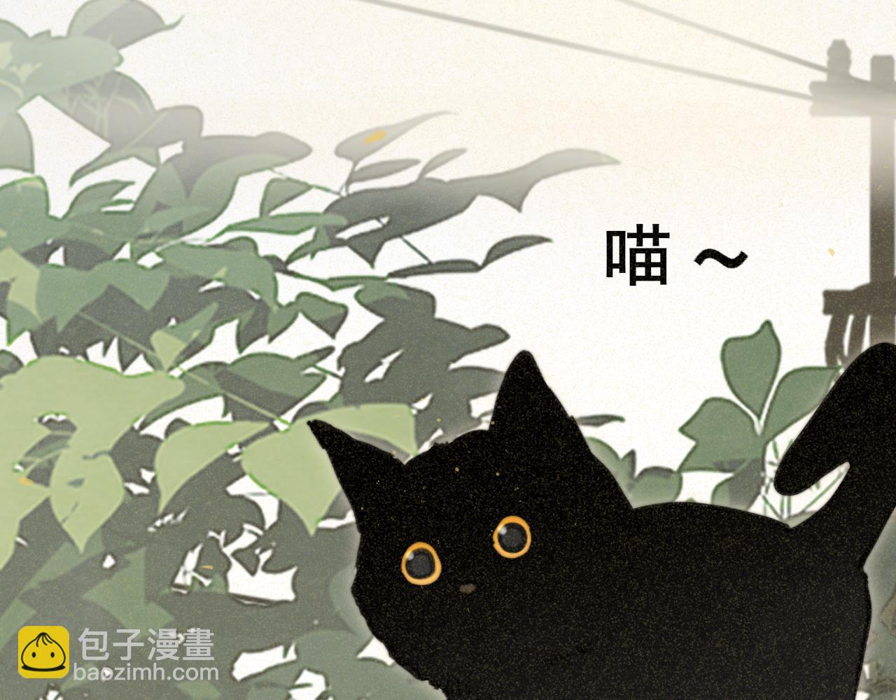 第92集淑女的反击(1/3)-第97话