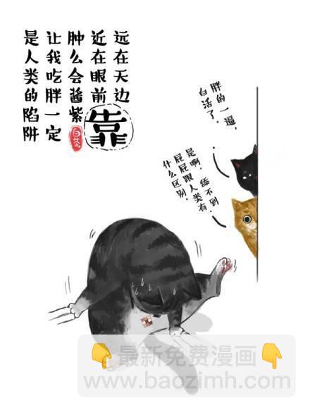 🍘吾皇巴扎黑 第1话  喵星人都是讲原则的！ 第7页