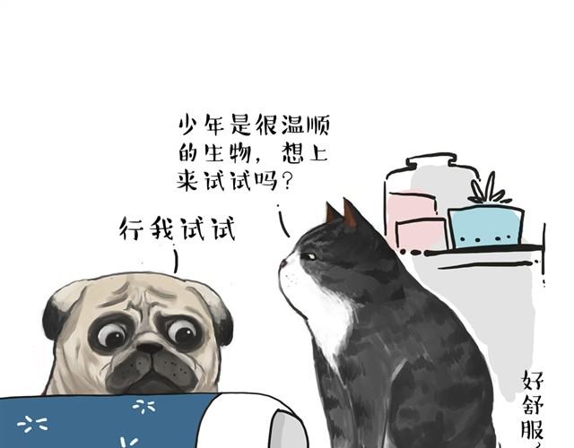 🍘吾皇巴扎黑 第11话 温顺的少年 第1页