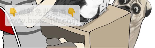 🍘吾皇巴扎黑 第11话 温顺的少年 第10页