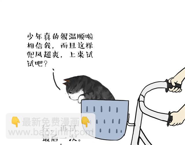 🍘吾皇巴扎黑 第11话 温顺的少年 第13页