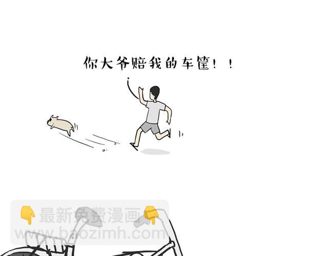 🍘吾皇巴扎黑 第11话 温顺的少年 第15页