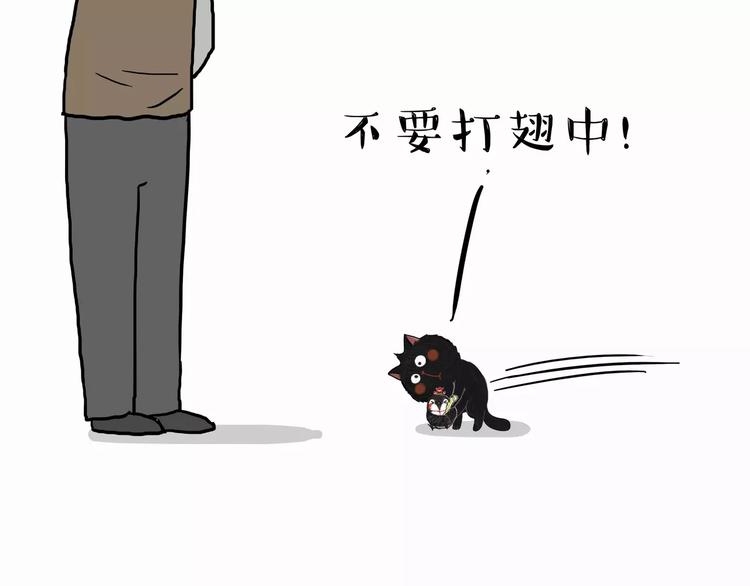 🍘吾皇巴扎黑 第103话 一家人 第15页