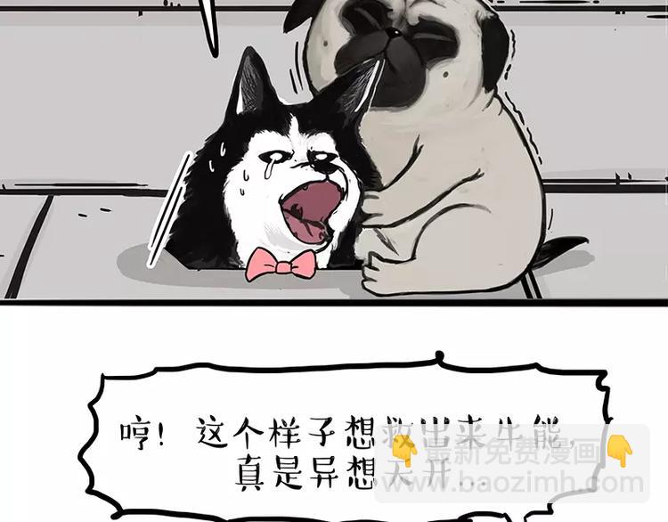 🍘吾皇巴扎黑 第105话 劲往一处使 第13页
