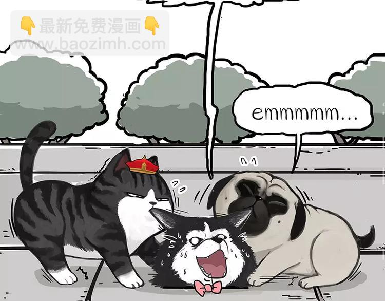 🍘吾皇巴扎黑 第105话 劲往一处使 第17页