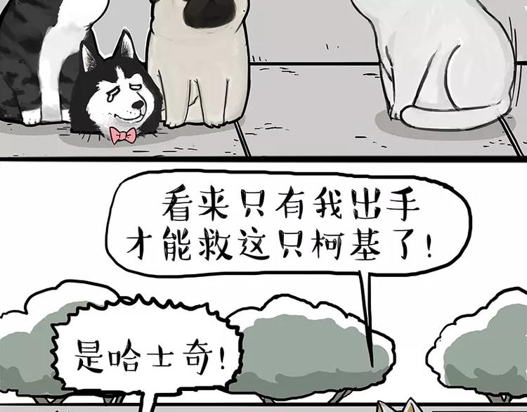 🍘吾皇巴扎黑 第105话 劲往一处使 第20页