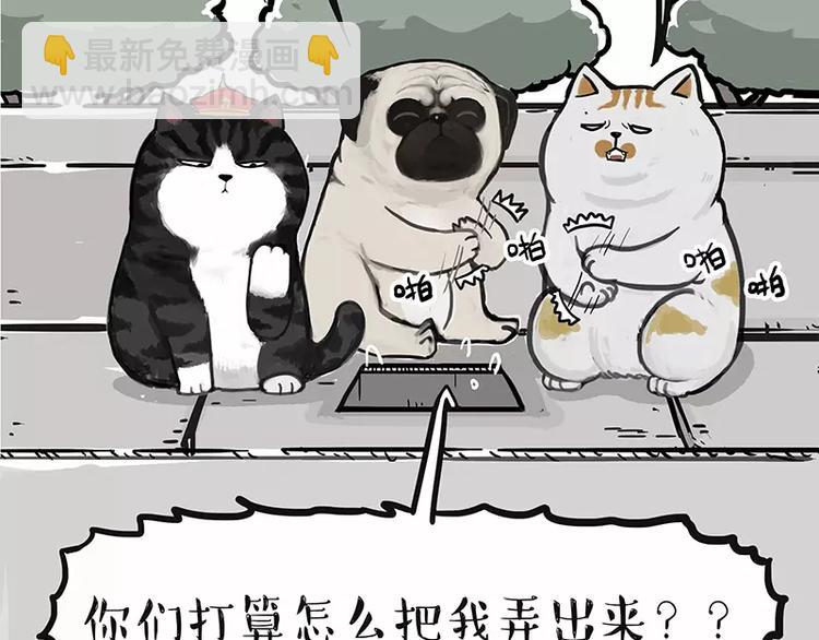 🍘吾皇巴扎黑 第105话 劲往一处使 第27页