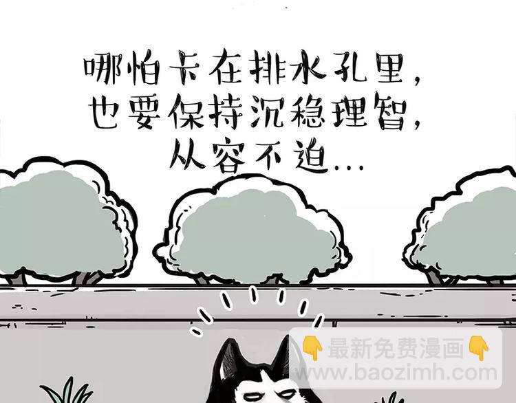 🍘吾皇巴扎黑 第105话 劲往一处使 第3页