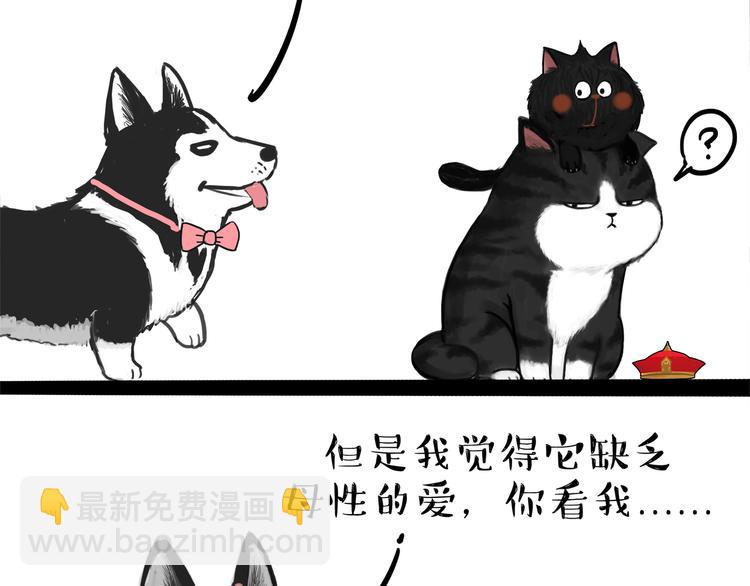 🍘吾皇巴扎黑 第111话 突然殷勤 第3页