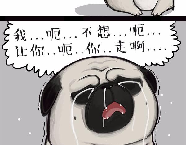 🍘吾皇巴扎黑 第113话 牛牪犇出场（下） 第17页