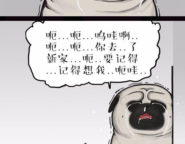 🍘吾皇巴扎黑 第113话 牛牪犇出场（下） 第18页