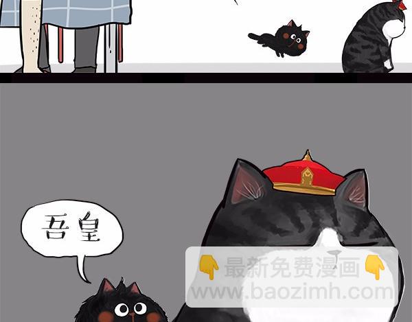 🍘吾皇巴扎黑 第113话 牛牪犇出场（下） 第7页