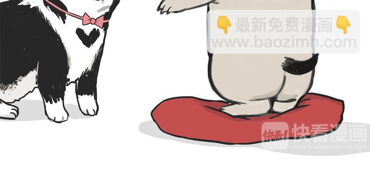 🍘吾皇巴扎黑 第115话 隐藏的东西 第10页