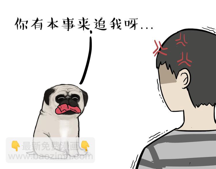 🍘吾皇巴扎黑 第115话 隐藏的东西 第21页