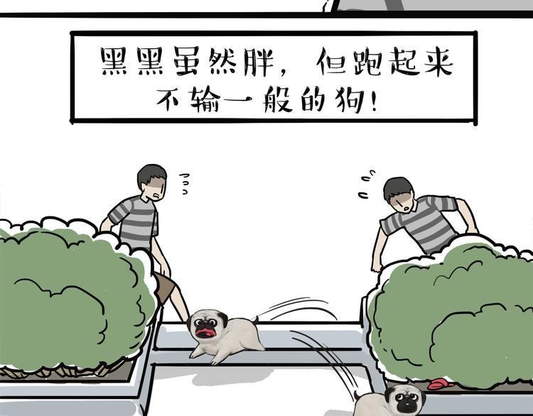 🍘吾皇巴扎黑 第115话 隐藏的东西 第22页