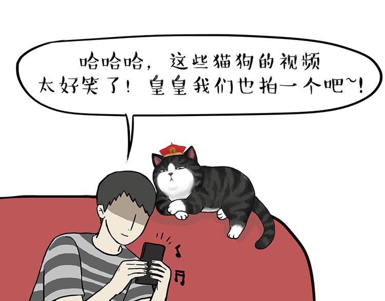 🍘吾皇巴扎黑 第117话 我们的关系 第1页