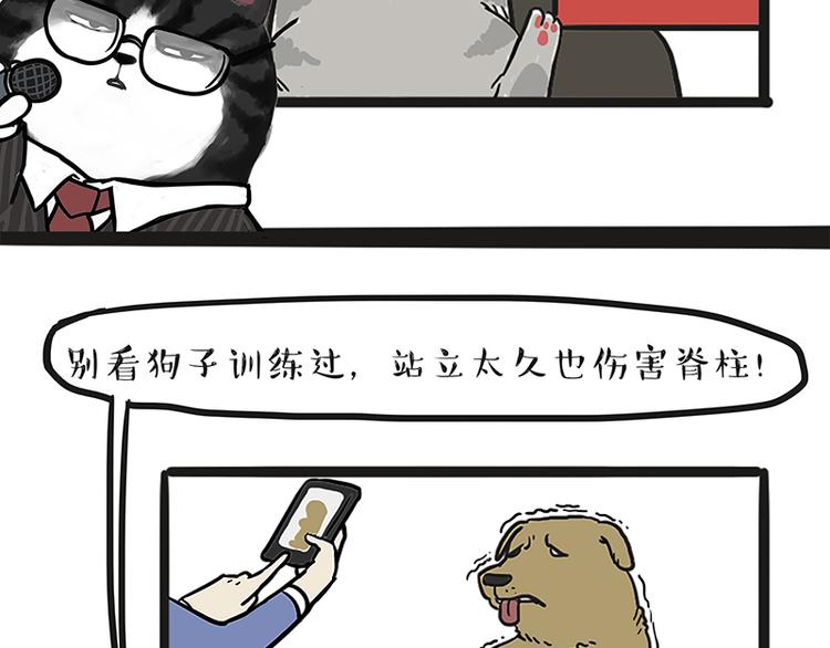 🍘吾皇巴扎黑 第117话 我们的关系 第13页