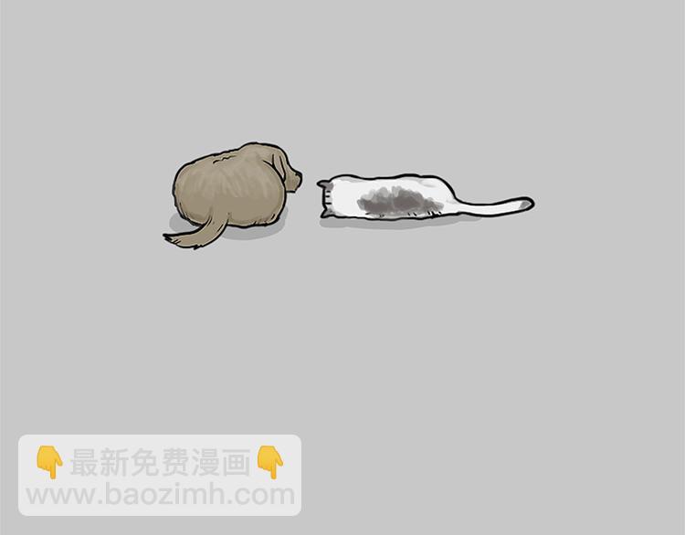🍘吾皇巴扎黑 第117话 我们的关系 第21页