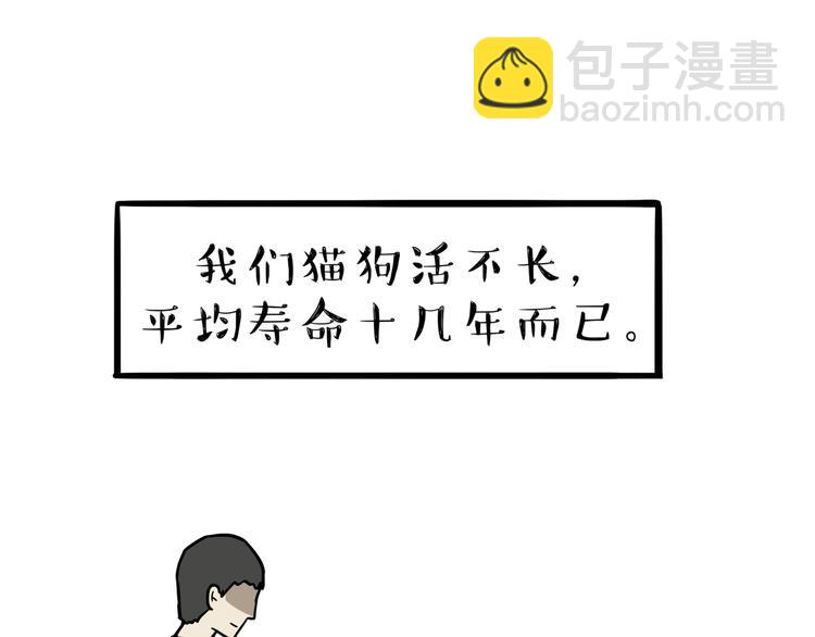 🍘吾皇巴扎黑 第117话 我们的关系 第37页