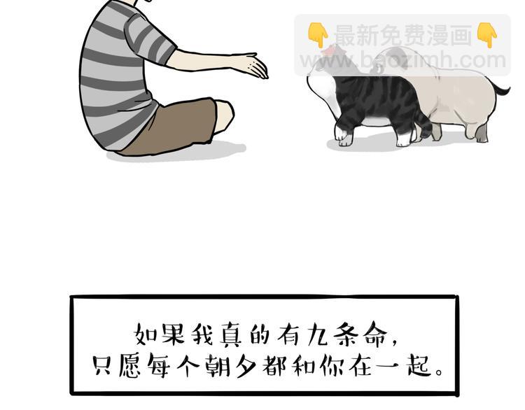 🍘吾皇巴扎黑 第117话 我们的关系 第38页