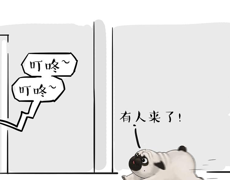 🍘吾皇巴扎黑 第119话 叛逆期 第11页