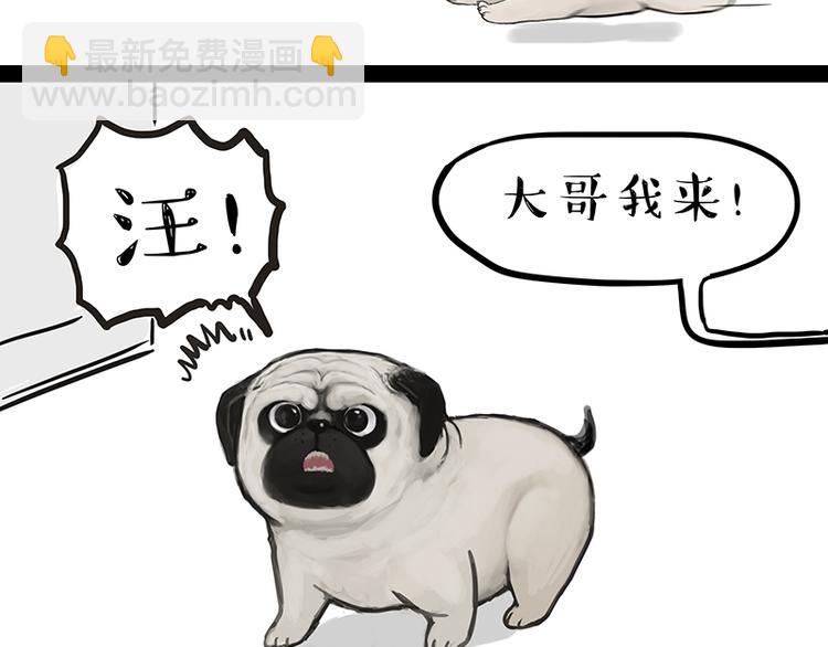 🍘吾皇巴扎黑 第119话 叛逆期 第12页
