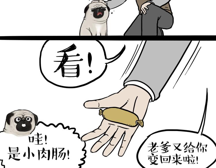 🍘吾皇巴扎黑 第125话 一只优秀的汪 第17页